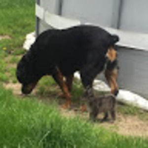 Meet your Posher, Ashley